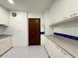 Chuan Place (D19), Semi-Detached #497267261